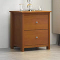 Galano 2-Drawer Nightstand with Storage 18.7 W  15.7 D  21.8 H