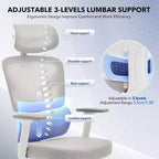 Ergonomic Mesh Office Chair with 3D Lumbar Support, Adjustable Armrest & Headrest