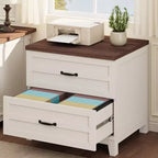 Lateral File Cabinet with 2 Drawers, Wooden Vertical Filing Cabinet with Hanging Bar, Under Desk Storage Cabinet for Home, Fit Legal/Letter/A4 Size