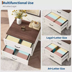 Lateral File Cabinet with 2 Drawers, Wooden Vertical Filing Cabinet with Hanging Bar, Under Desk Storage Cabinet for Home, Fit Legal/Letter/A4 Size