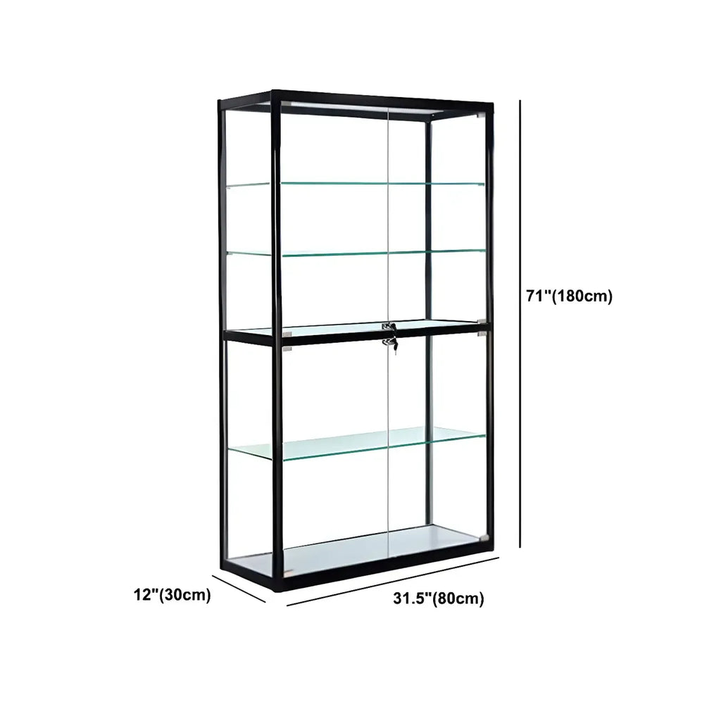 Contemporary Rectangular Black Glass Curio Cabinet