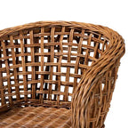 bali & pari Mario Modern Bohemian Natural Brown Finished Teak Wood and Rattan 2-Piece Dining Chair Set