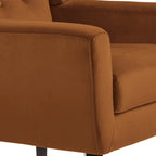 Set van 2 fluwelen accentstoelen voor de woonkamer, gestoffeerde fauteuils