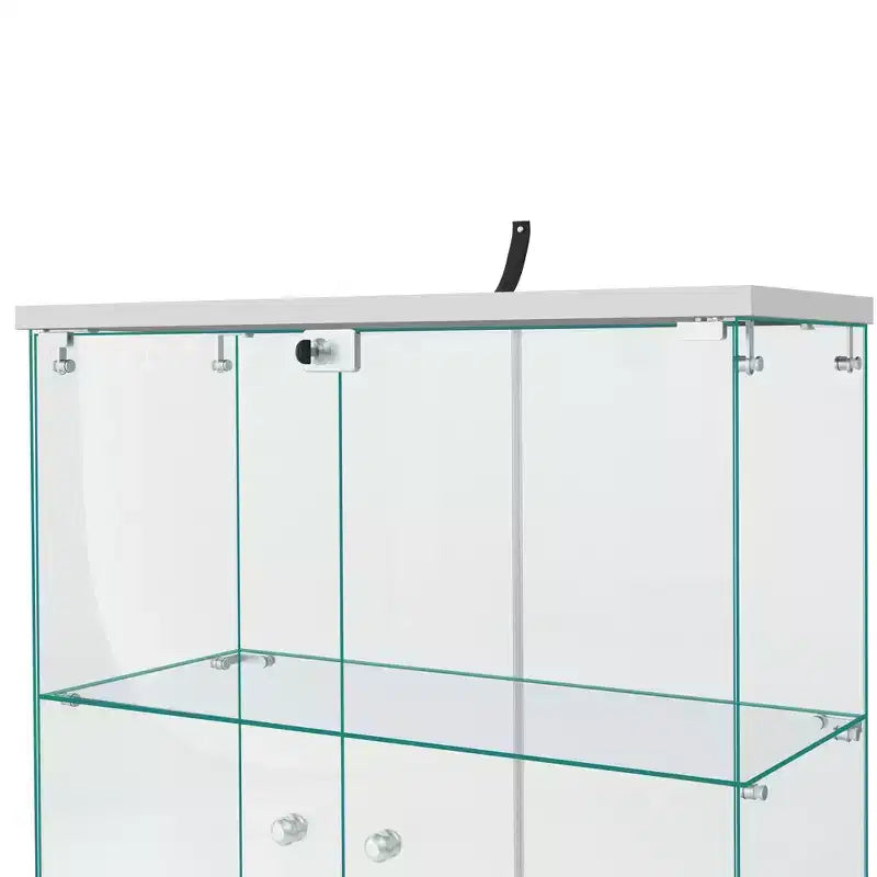 Vitrinenschrank aus Glas, 64,5 x 32, mit Schloss
