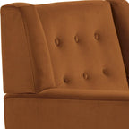 Set van 2 fluwelen accentstoelen voor de woonkamer, gestoffeerde fauteuils