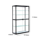 Contemporary Rectangular Black Glass Curio Cabinet