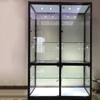 Contemporary Rectangular Black Glass Curio Cabinet