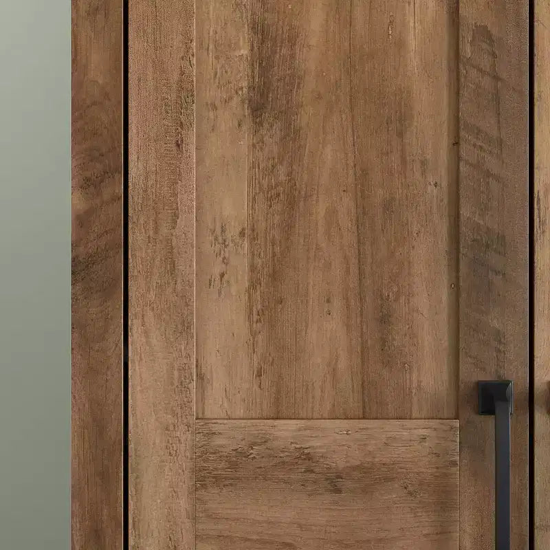 2 Door Storage Cabinet - Sauder
