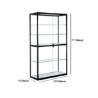 Contemporary Rectangular Black Glass Curio Cabinet