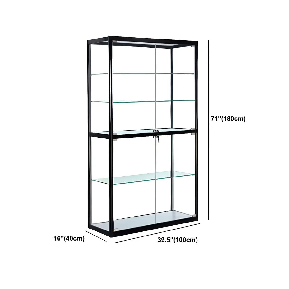 Contemporary Rectangular Black Glass Curio Cabinet