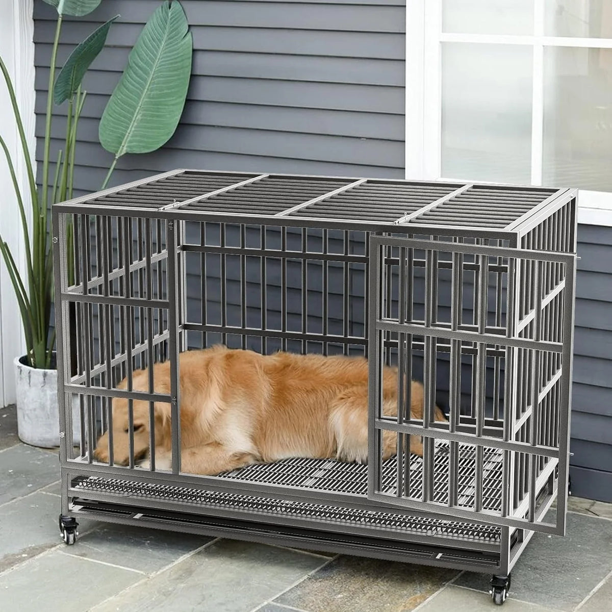 Cage pour chien BOSSIN robuste et indestructible de 48/38 po, chenil anti-fugue avec roulettes verrouillables
