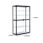 Contemporary Rectangular Black Glass Curio Cabinet