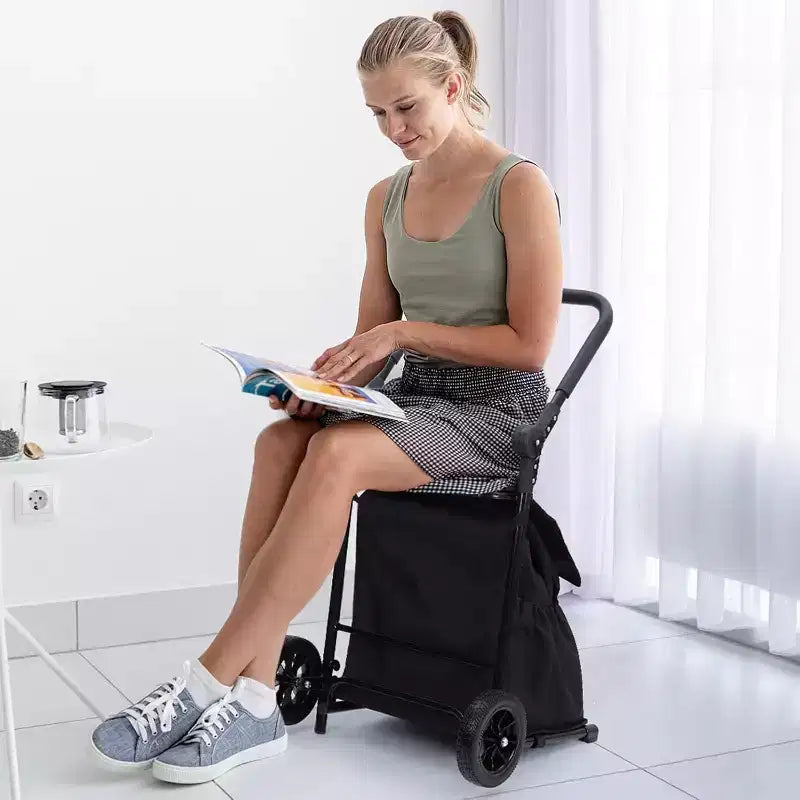 Chariot utilitaire pliable 2-en-1 Acekool avec sac étanche amovible, coussin d’assise épais et poignée réglable antidérapante, noir