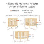 Lit bébé convertible Babyletto Pogo 8-en-1 avec kits de conversion pour toutes les étapes
