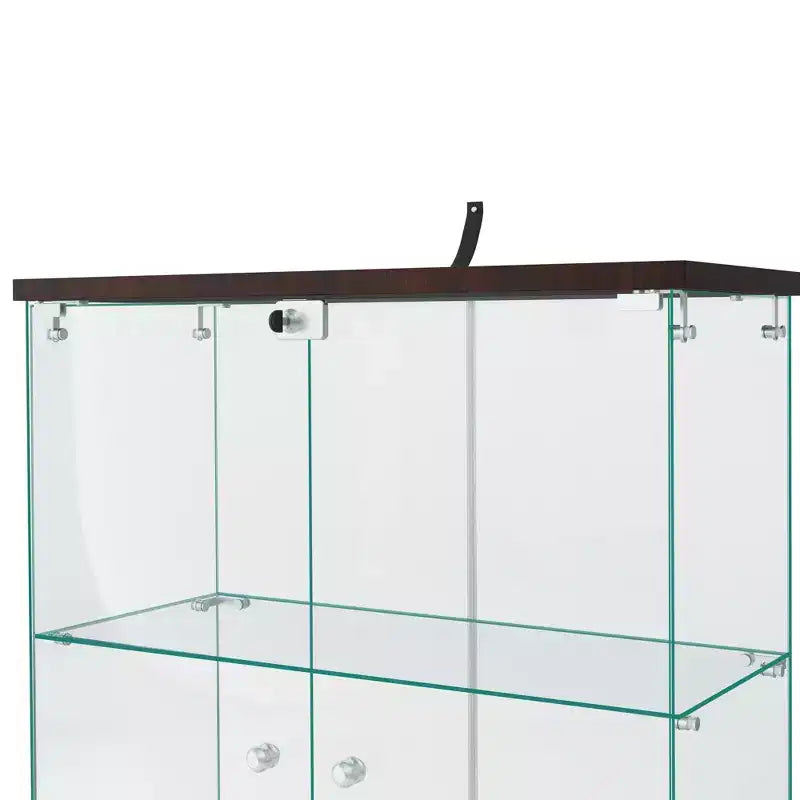 Vitrinenschrank aus Glas, 64,5 x 32, mit Schloss